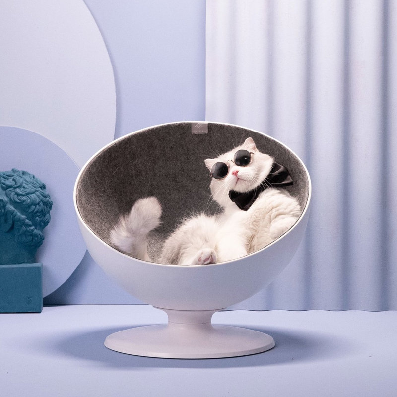 circle cat bed