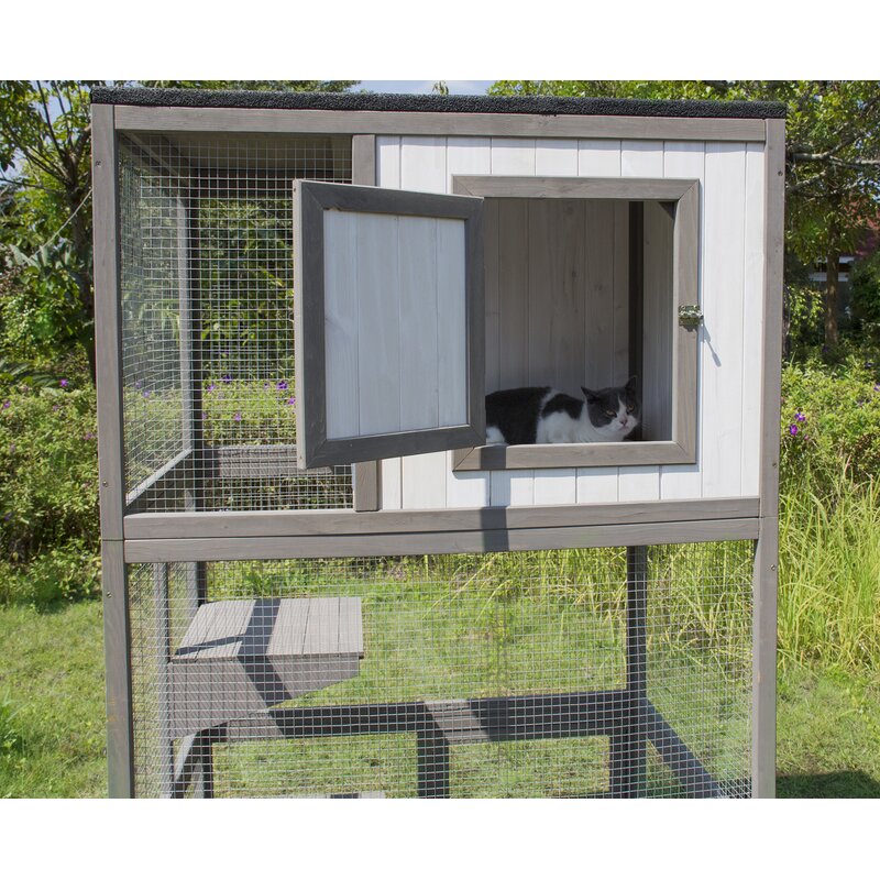 outdoor cat kennel