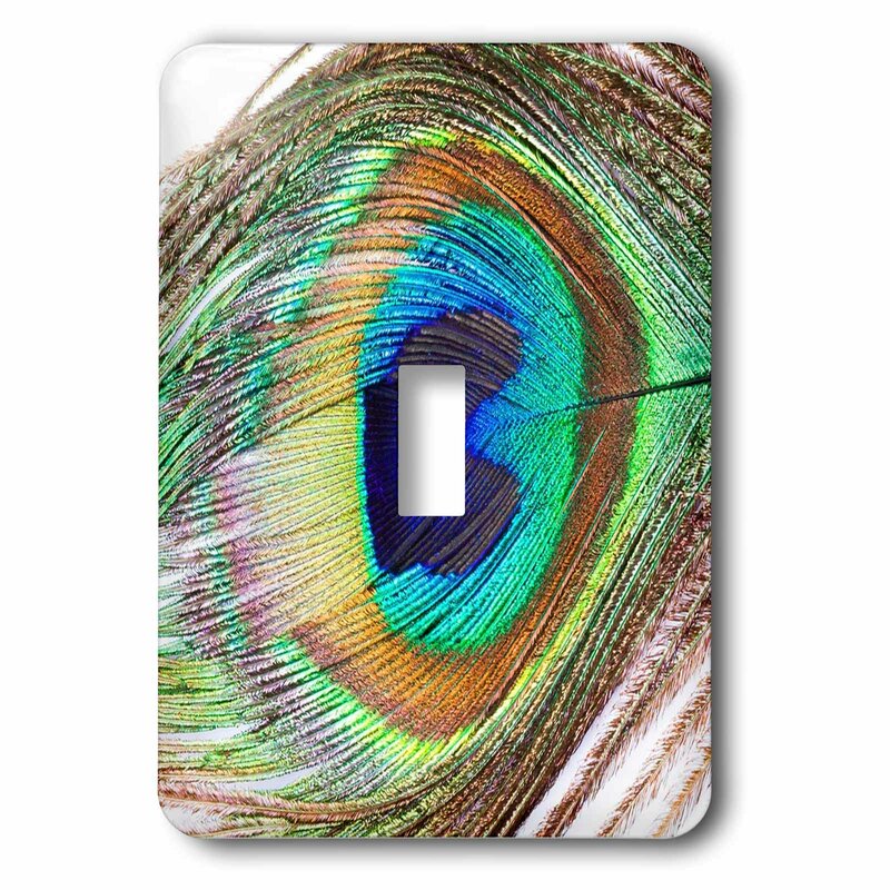 Download 3drose Peacock Feather 1 Gang Toggle Light Switch Wall Plate Wayfair