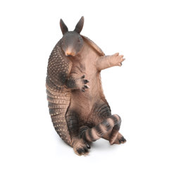 Armadillo Statue Wayfair