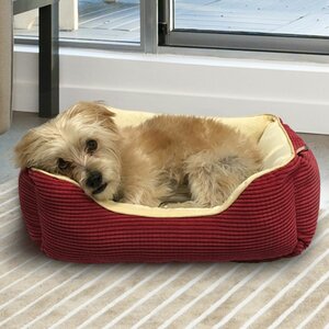 Plush Boxed Cuddler Dog Bolster