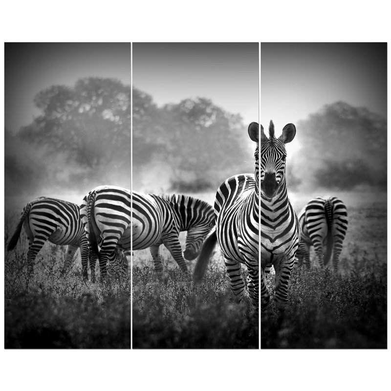 East Urban Home Zebra In Black And White Photographic Print Multi Piece Image On Wrapped Canvas Wayfair