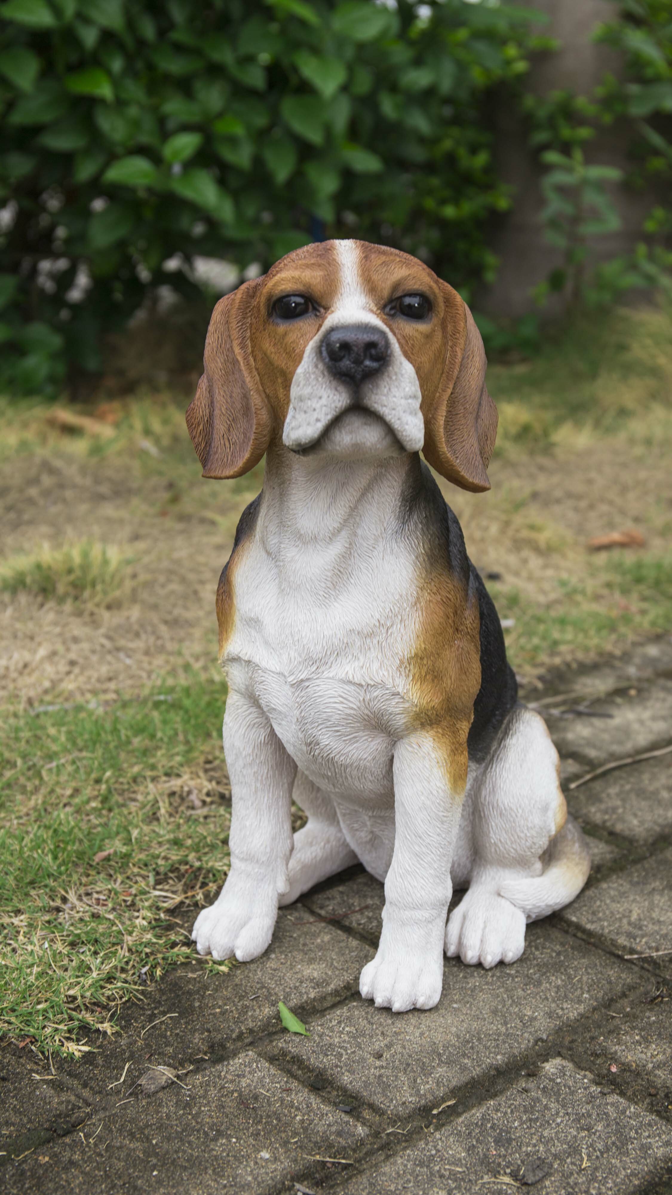 Hi Line Gift Ltd Beagle Dog Sitting Statue Reviews Wayfair