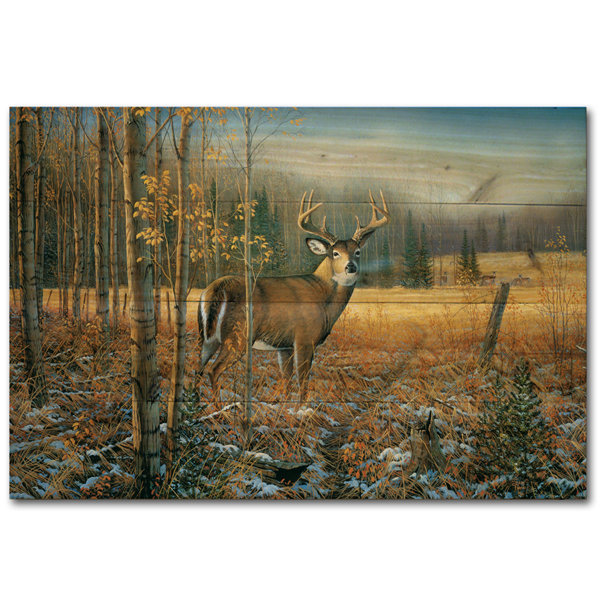 WGI GALLERY November Whitetail Deer by Sam Timm Painting 