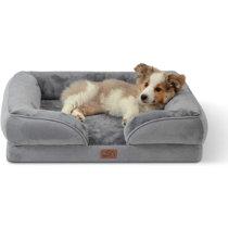 baxter couch dog bed