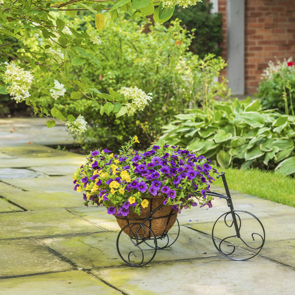 Bicycle Plant Stand Reviews Joss Main