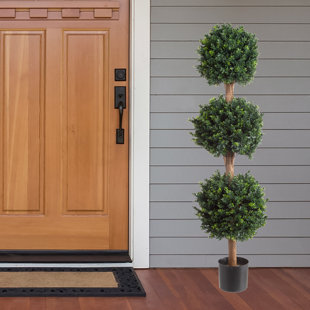 Belham Living Richland Mini Ball Tree Wayfair