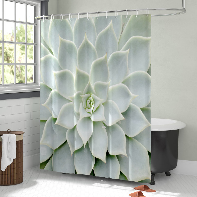 Ebern Designs Hadleigh Cactus Plant Flower Zoomed Photo Image