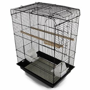 love birds cage for sale