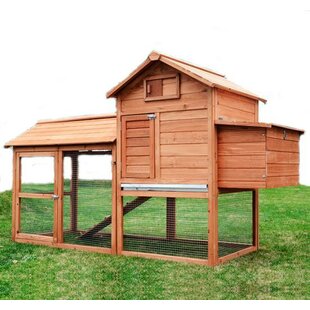 Cedar Chicken Coop Wayfairca