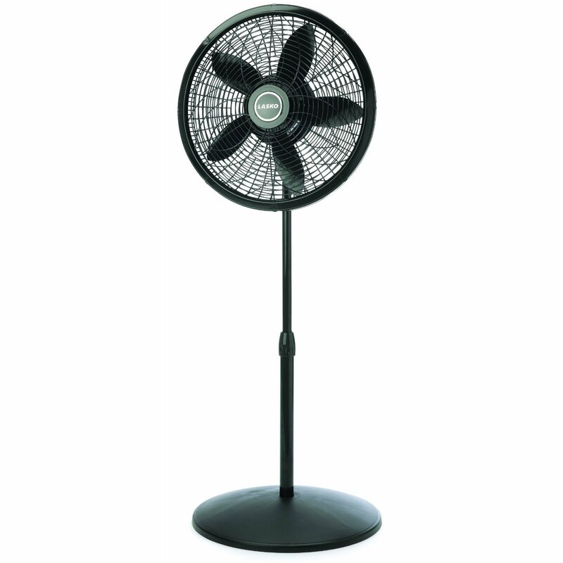 standing oscillating fan