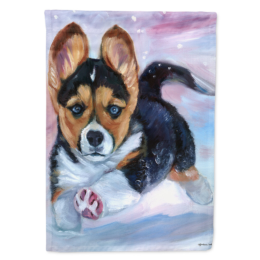 multi colored corgi puppy