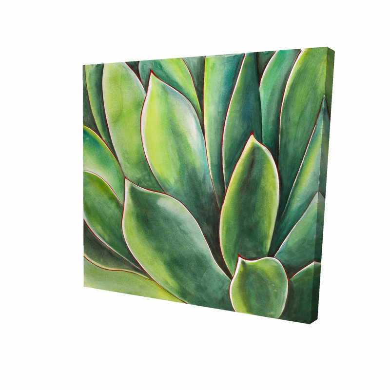 Bay Isle Home Agave Plant Oil Painting Print On Wrapped Canvas