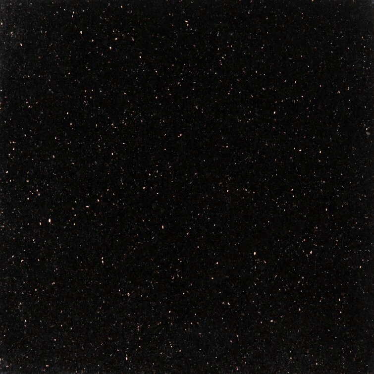 Msi Black Galaxy 18 X 18 Granite Field Tile Reviews Wayfair