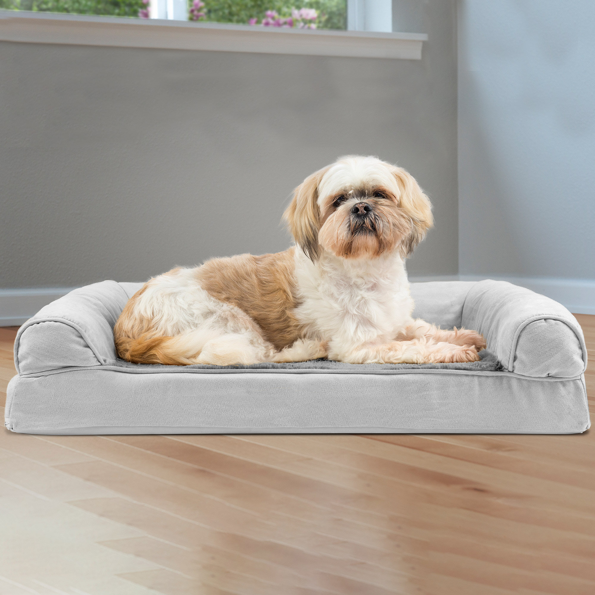 Medium Dog Beds You Ll Love In 2021 Wayfair