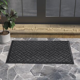 Durable a Easy to Clean Entrance Mats Waterproof and Non-Slip Foot Mats Door Mats Christmas Decorations Color : C, Size : 40cm×60cm 