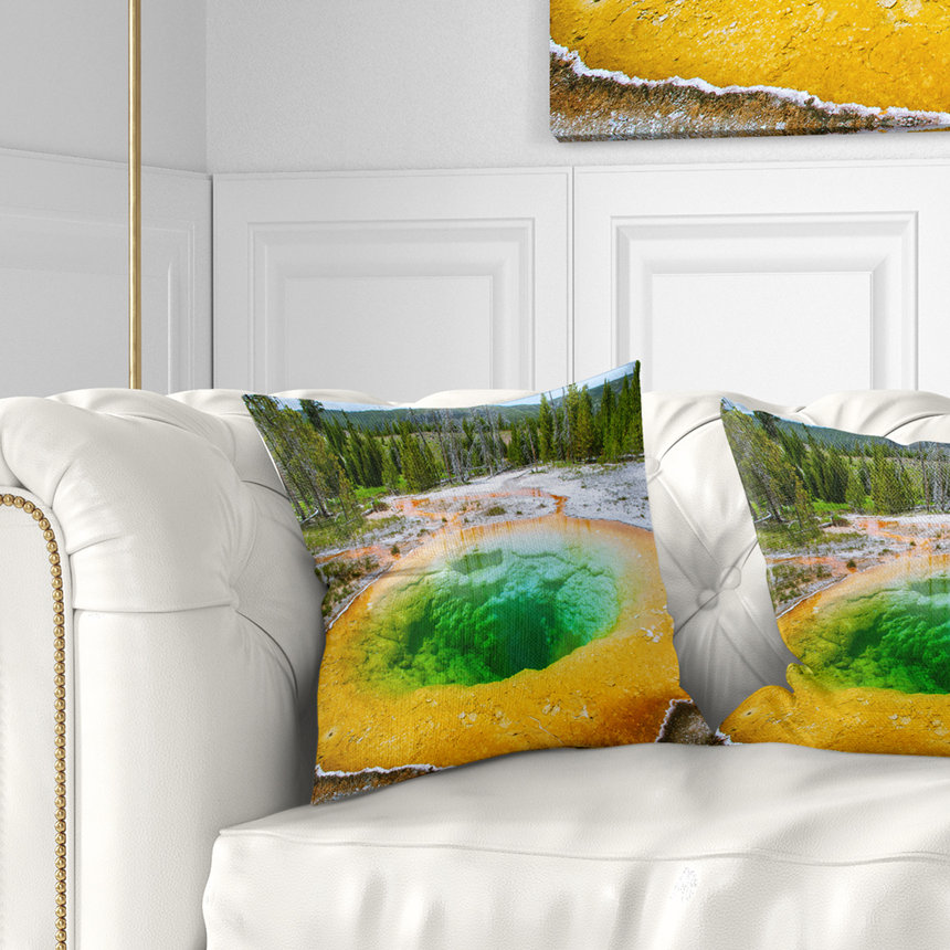 East Urban Home Landscape Bright Morning Glory Pool Pillow Wayfair