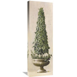 Topiary Painting Wayfair