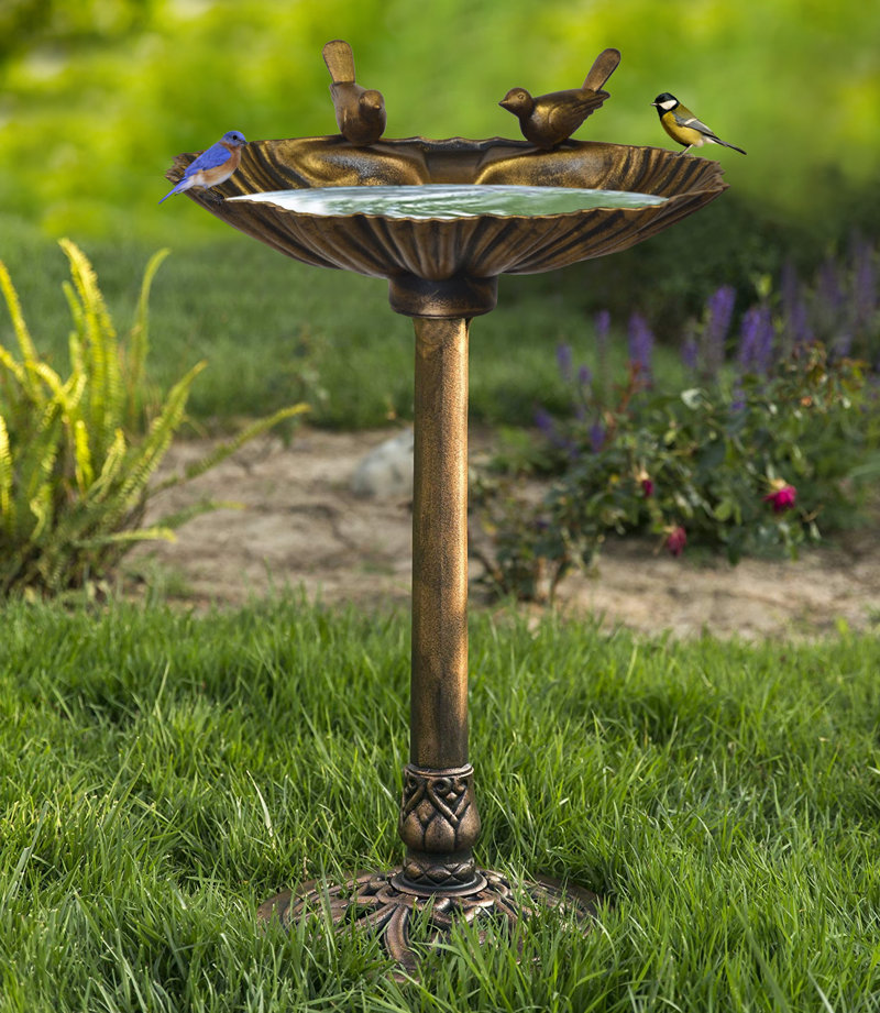 Elenamarie Sitting Pair of Birds Birdbath Color: Antique Bronze