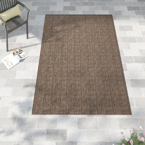 Sol 72 Outdoor™ Iyana Flatweave Brown Indoor/Outdoor Rug & Reviews ...