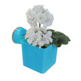 Wall Mates Push 'N Stay Square Suction Flower and Plant Holder