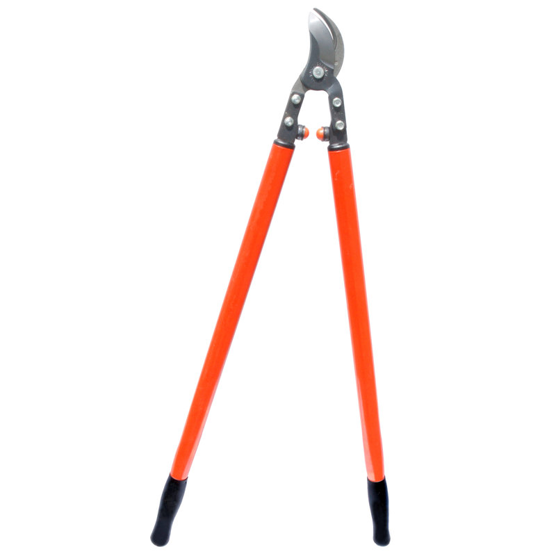 Zenport Professional Orchard And Landscape Tree Loppers Wayfair