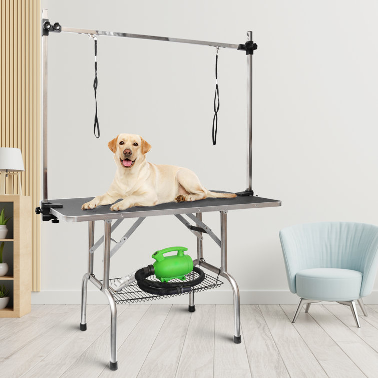 pinch Gate dance HomLux 46" Dog Grooming Table, Foldable Home Pet Bathing Station With  Adjustable Height Arm/noose/mesh Tray & Reviews - Wayfair Canada