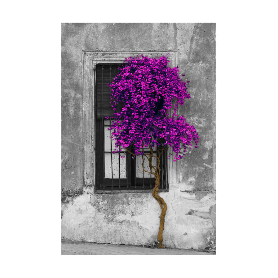 'Tree in Front of Window' Graphic Art Print