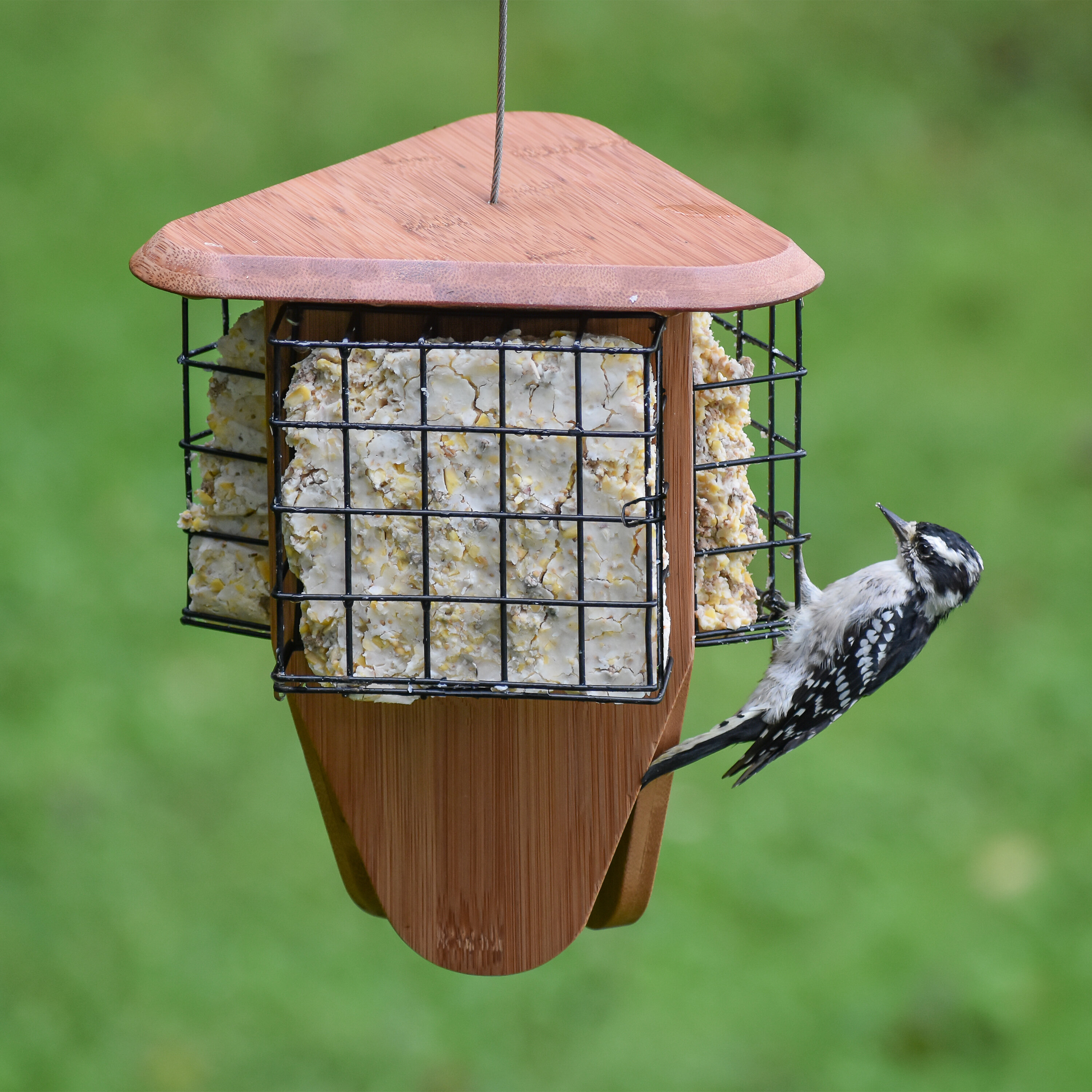 Perky Pet Triple Delight Bamboo Suet Bird Feeder Wayfair