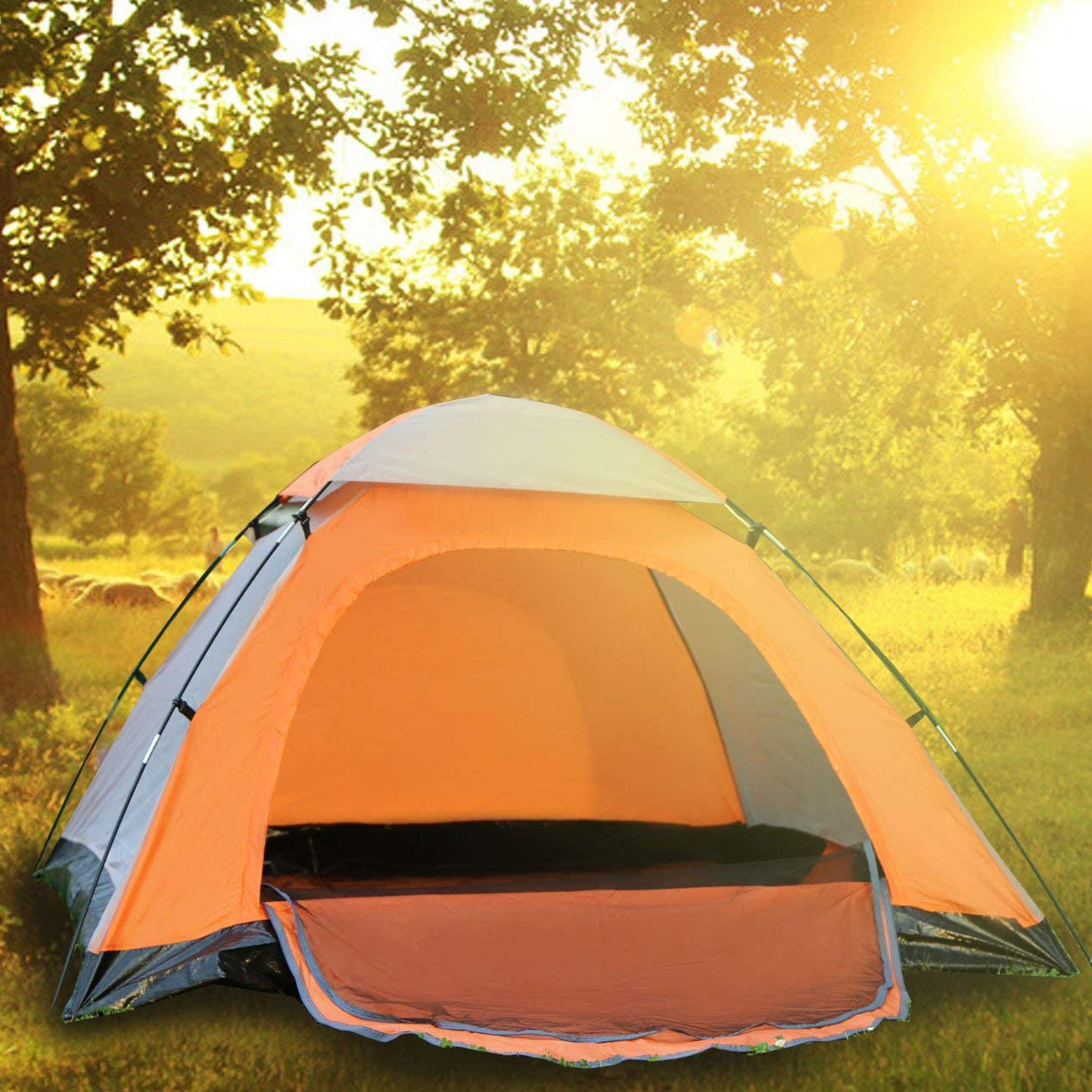 Icorer Pop Up Beach Tent Wayfair