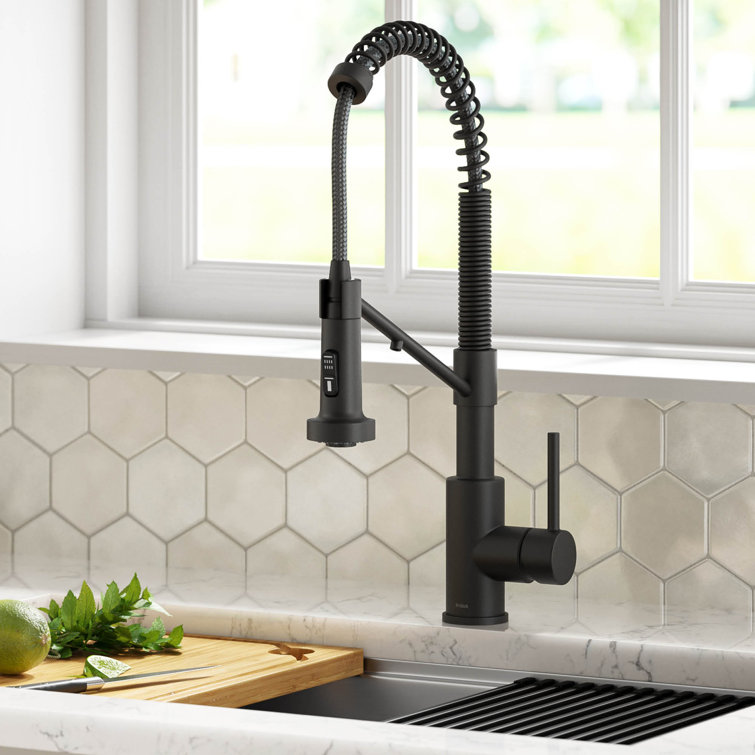 Bolden Pull Down Single Handle Kitchen Faucet with Accessories