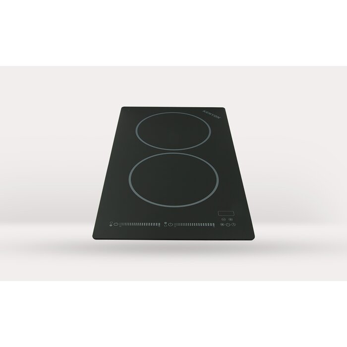 Kenyon Bridge 21 Induction Cooktop With 2 Burners Wayfair Ca