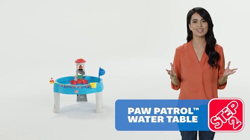 paw patrol sand and water table