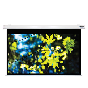 Matte White Electric Projector Screen