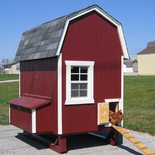 https://secure.img1-fg.wfcdn.com/im/91408897/resize-h310-w310%5Ecompr-r85/3419/34193527/daria-gambrel-barn-chicken-house-with-nesting-box-and-ramp.jpg