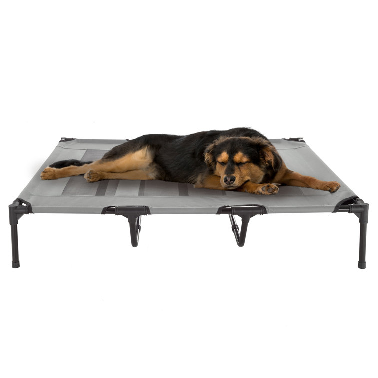 petmaker elevated pet bed