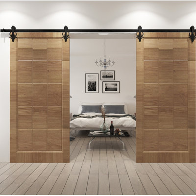 Bucks Standard Double Track Barn Door Hardware Kit Vancleef Track Length 48 in
