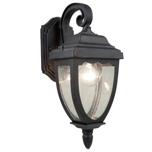 Boise 1-Light Outdoor Wall Lantern