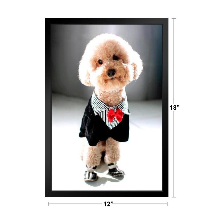Dogs Poodle Blue Poster 12x18 inch