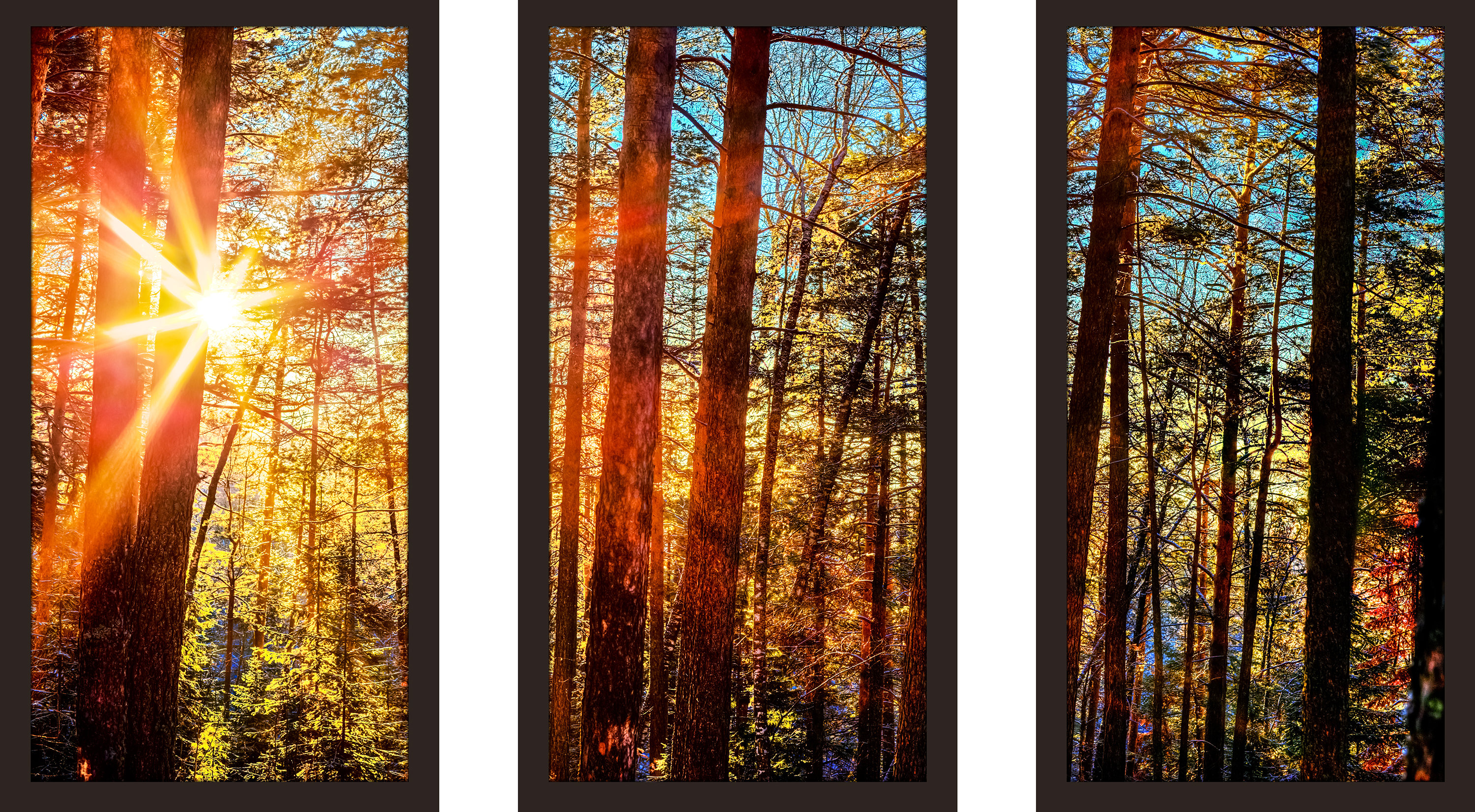 Picture Perfect International by Jodi Spring On My Mind 3 Framed Plexiglass Art Set of 3 Wall-Decor 13.5 W x 25.5 H x 1 D
