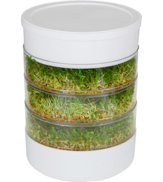 BPA Free Germany 4 Tier Countertop Kitchen Crop Sprouted  Seed Sprouter