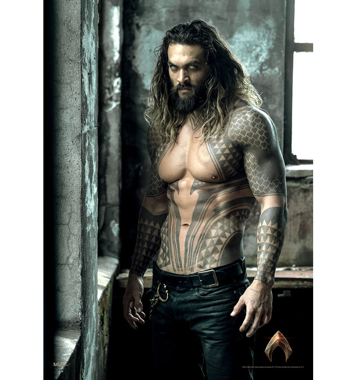 Mightyprint Dc Comics Dc Comics Justice League Movie Aquaman Jason Momoa Graphic Art Wayfair