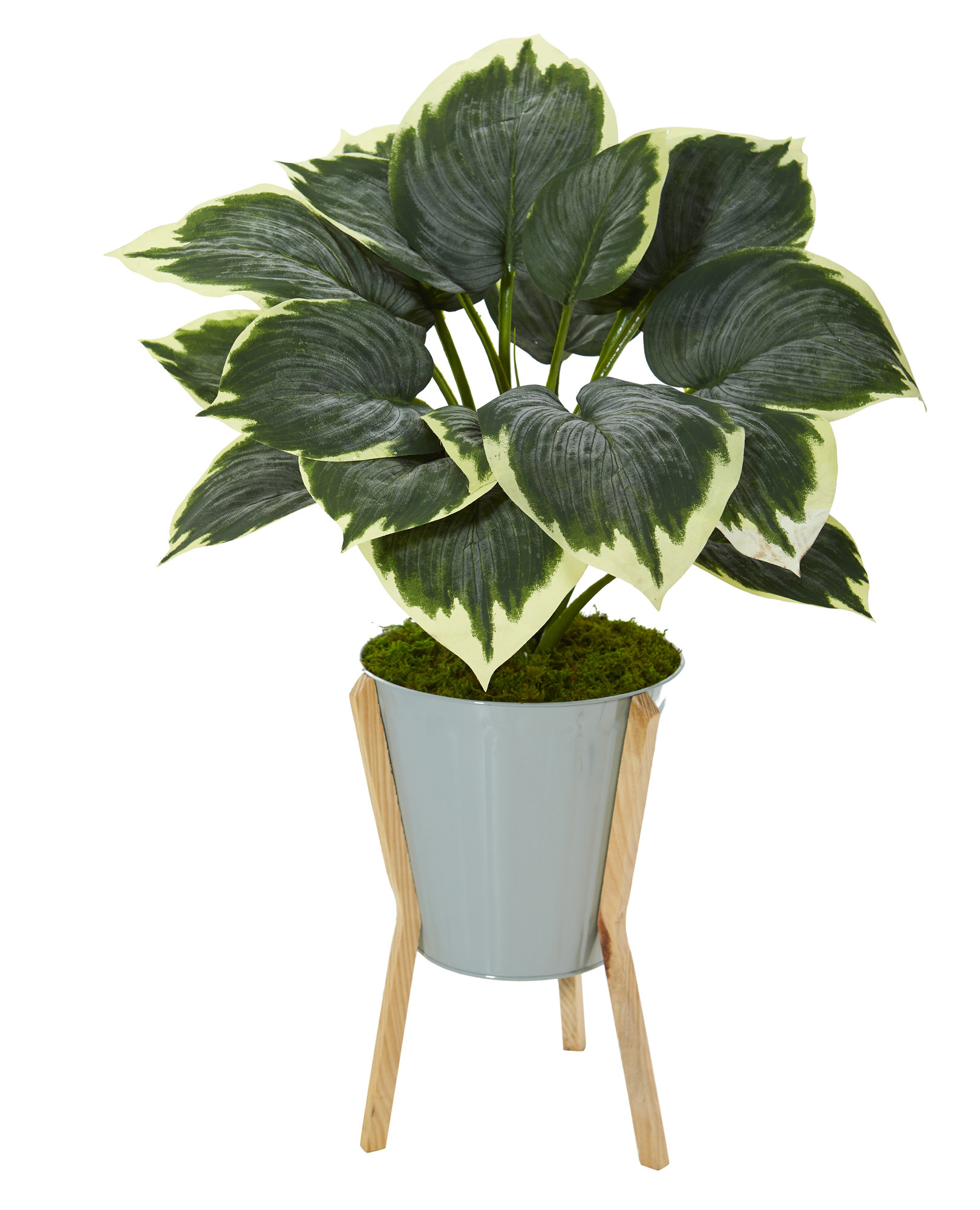 wayfair standing planter on Ebern Designs 14 Artificial Hosta Plant In Planter Wayfair
