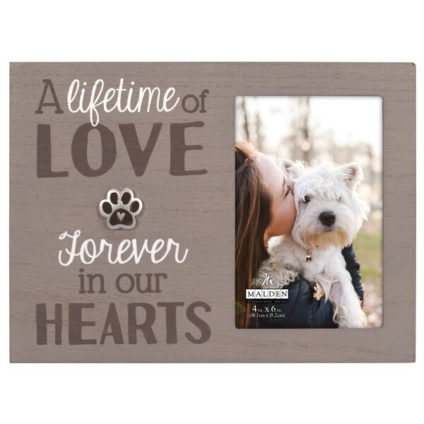 Pet Memorial Frames Wayfair