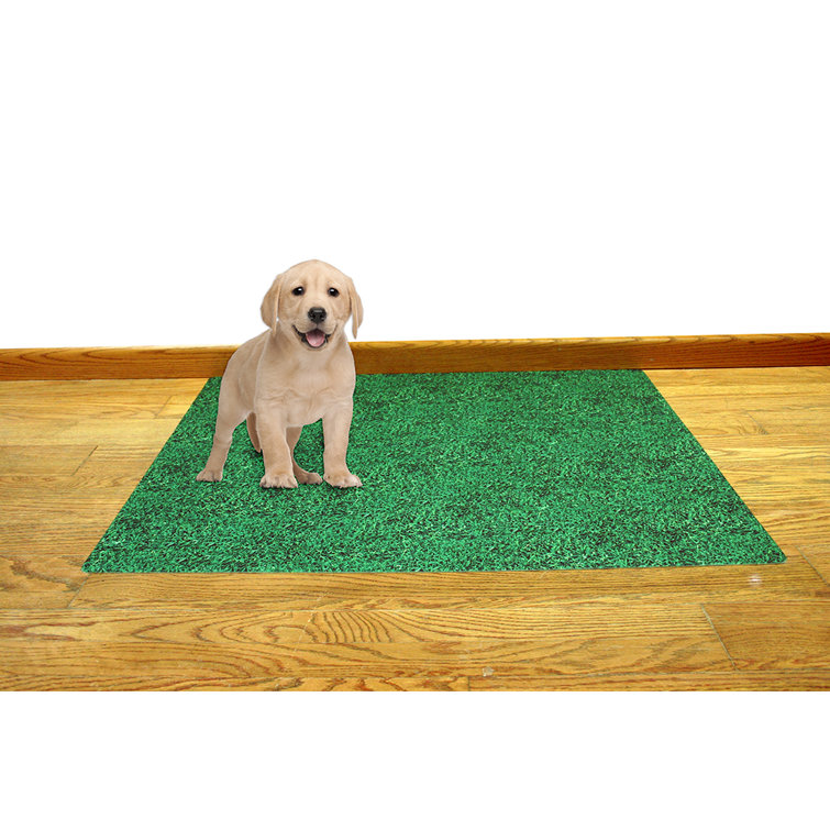 dog training mat