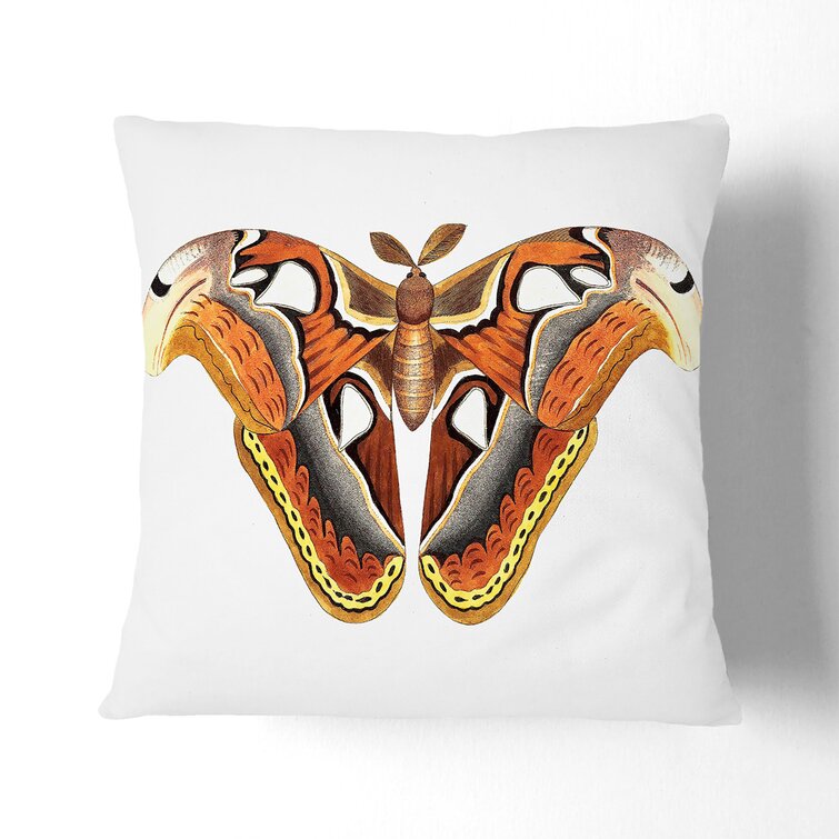 Atlas Moth Animal Vintage George Shaw 1 x Soft Cushion and Cover Sofa Pillow