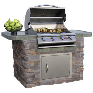 4-Burner Propane Gas Grill with Cabinet