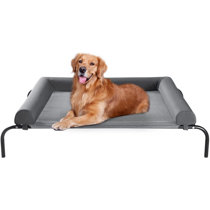 extra large pet cot