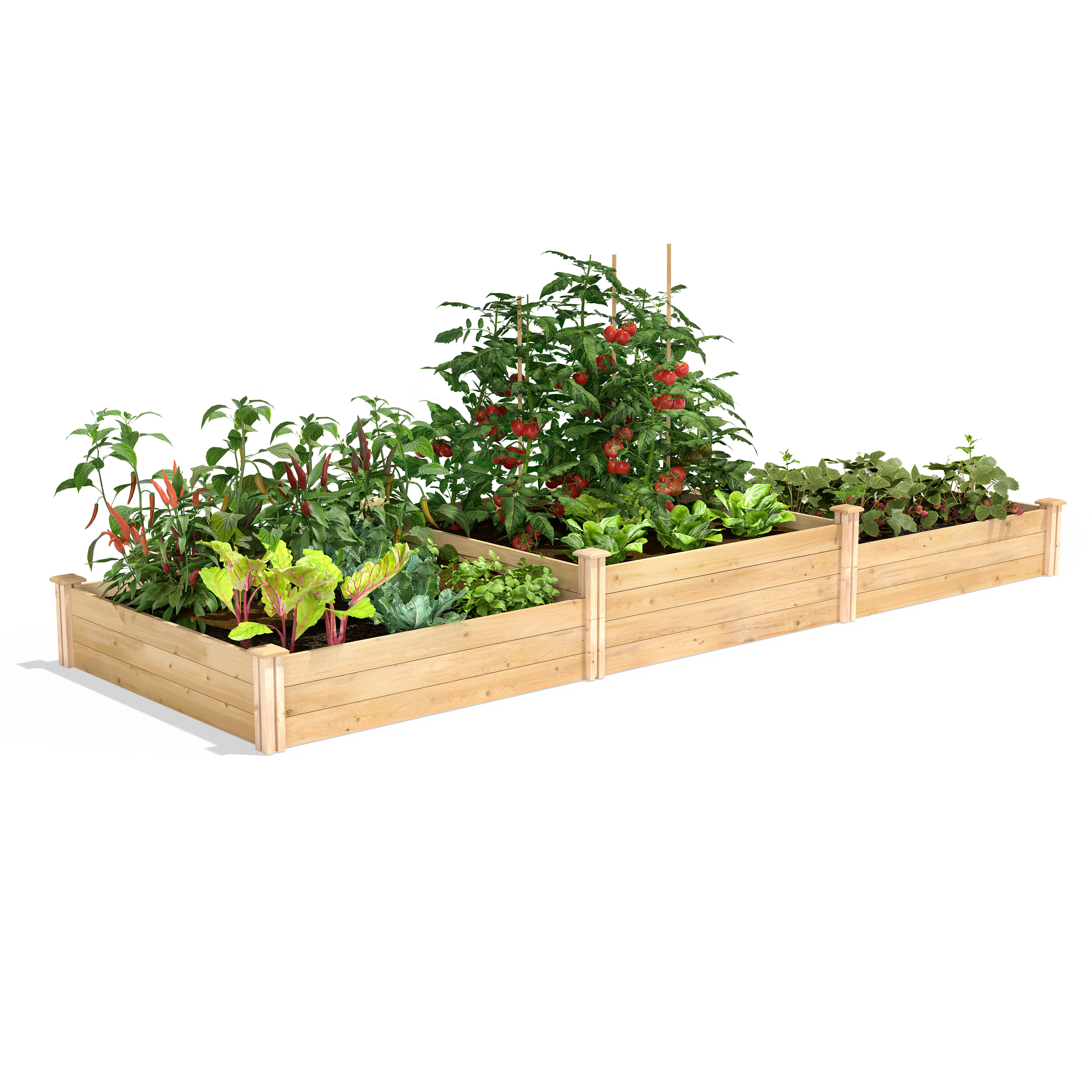 Greenes Fence 12 ft x 4 ft Cedar Raised Garden & Reviews | Wayfair