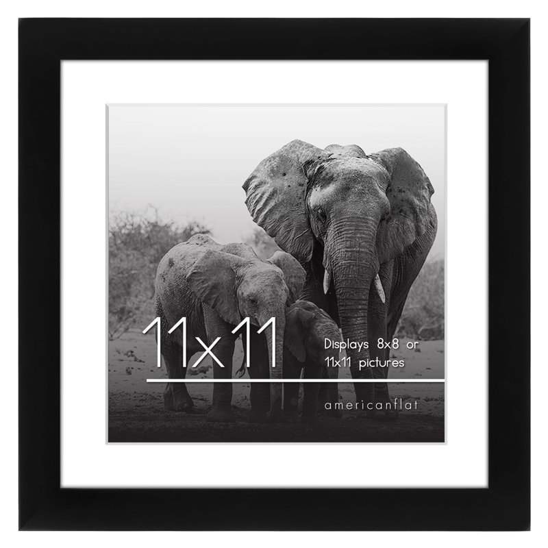 Damaine Picture Frame with Mat - Engineered Wood and Shatter-Resistant Glass